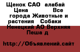 Щенок САО (алабай) › Цена ­ 10 000 - Все города Животные и растения » Собаки   . Ненецкий АО,Верхняя Пеша д.